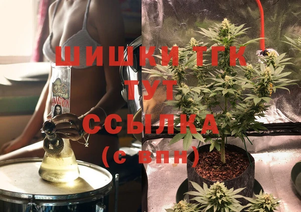 2c-b Елизово