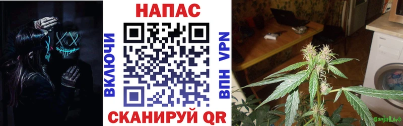 Конопля тримм даркнет как зайти Луховицы hydra сайт